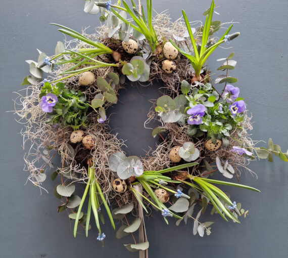 Spring Wreath - Viola