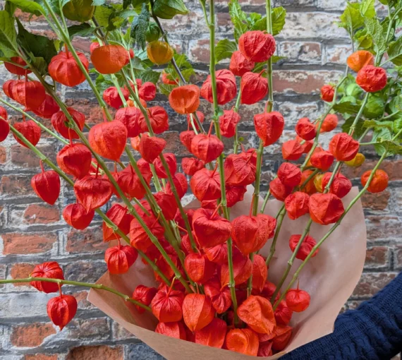 Chinese lanterns