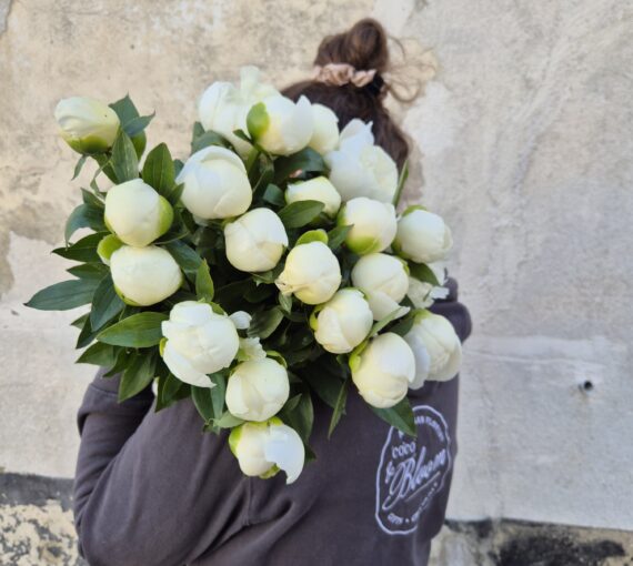 Abundance of Peonies