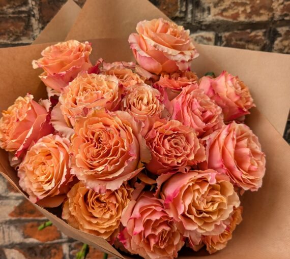 Roses